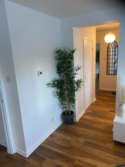 Perfectly Situated Luxury 2 Bedroom Apartment Glasgow Exteriör bild